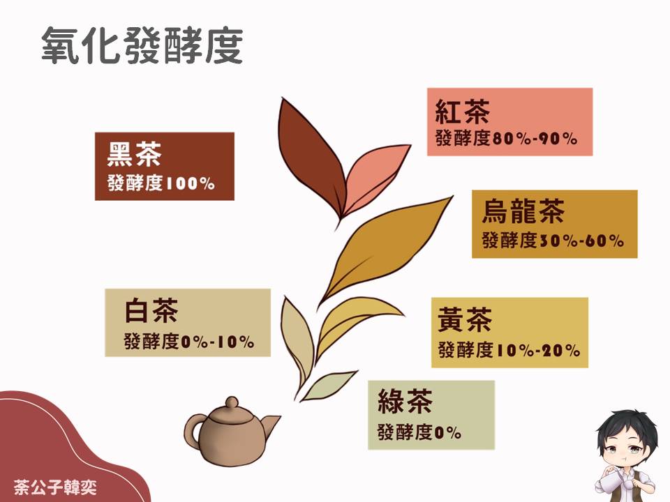 學會 紅茶 分類好簡單 茶葉等級 著名產地 經典茶款 荼公子 Han Yi 韓奕