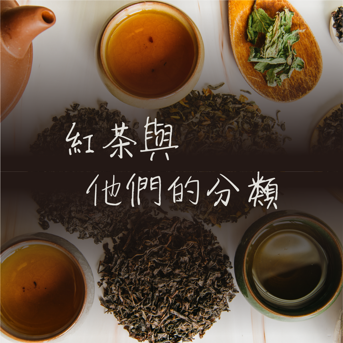 學會 紅茶 分類好簡單 茶葉等級 著名產地 經典茶款 荼公子 Han Yi 韓奕
